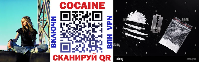 КОКАИН Fish Scale  купить закладку  Новошахтинск 
