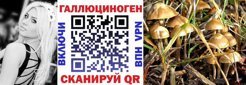 Псилоцибиновые грибы мухоморы  Новошахтинск 