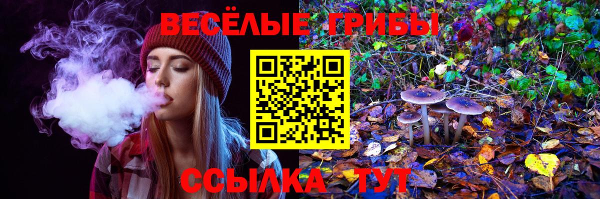 Псилоцибиновые грибы GOLDEN TEACHER  Вход с VPN  Новошахтинск 