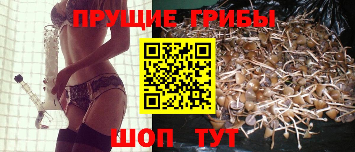 Псилоцибиновые грибы GOLDEN TEACHER Новошахтинск